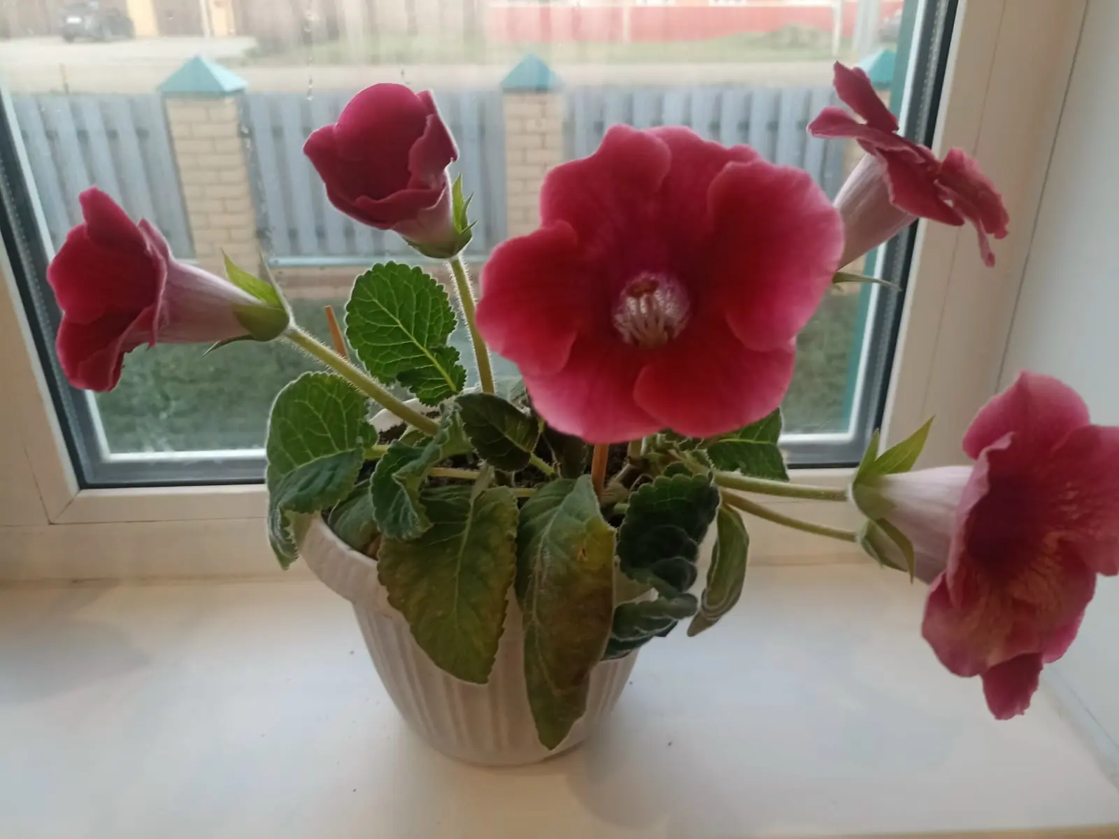 Көҙгөләрҙе пак тот- фәрештәләр ҡыуаныр.