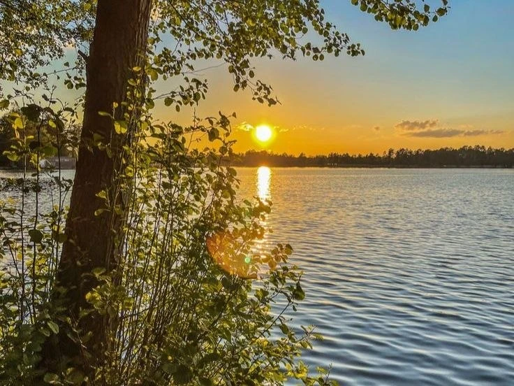 ✨ Доброе утро!