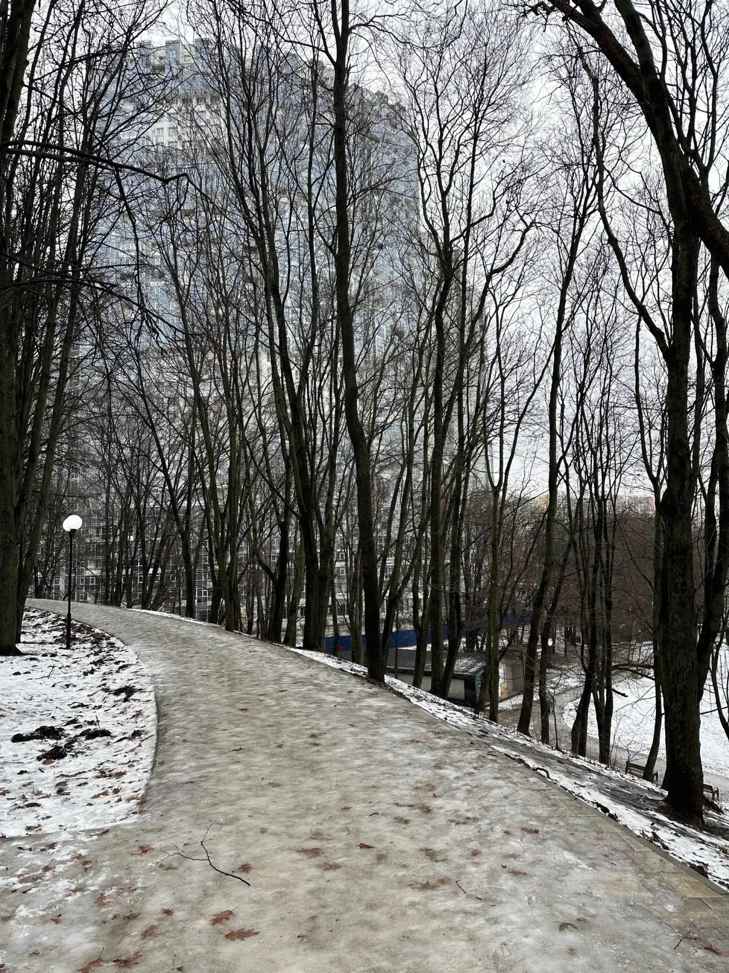 Примерно такая зима нас ждет по заявлению синоптиков 🥴