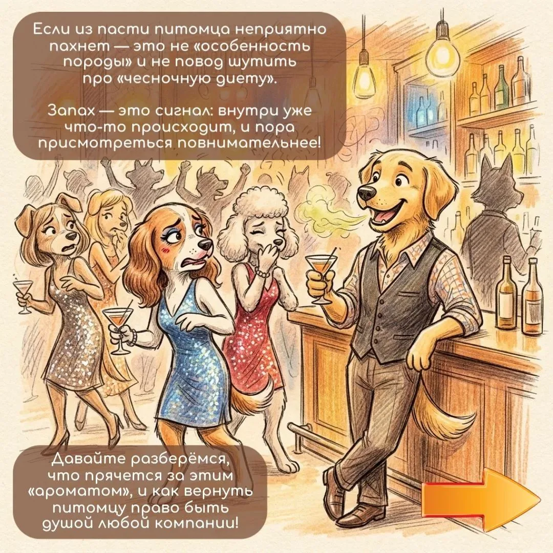 Плохой запах изо рта 🐱 🐶 — это не пустяк, а реальный симптом, который нельзя оставлят...
