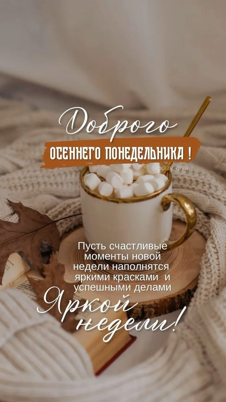 🍂 Осень вступает в свои права, а мы — в рабочий ритм.
