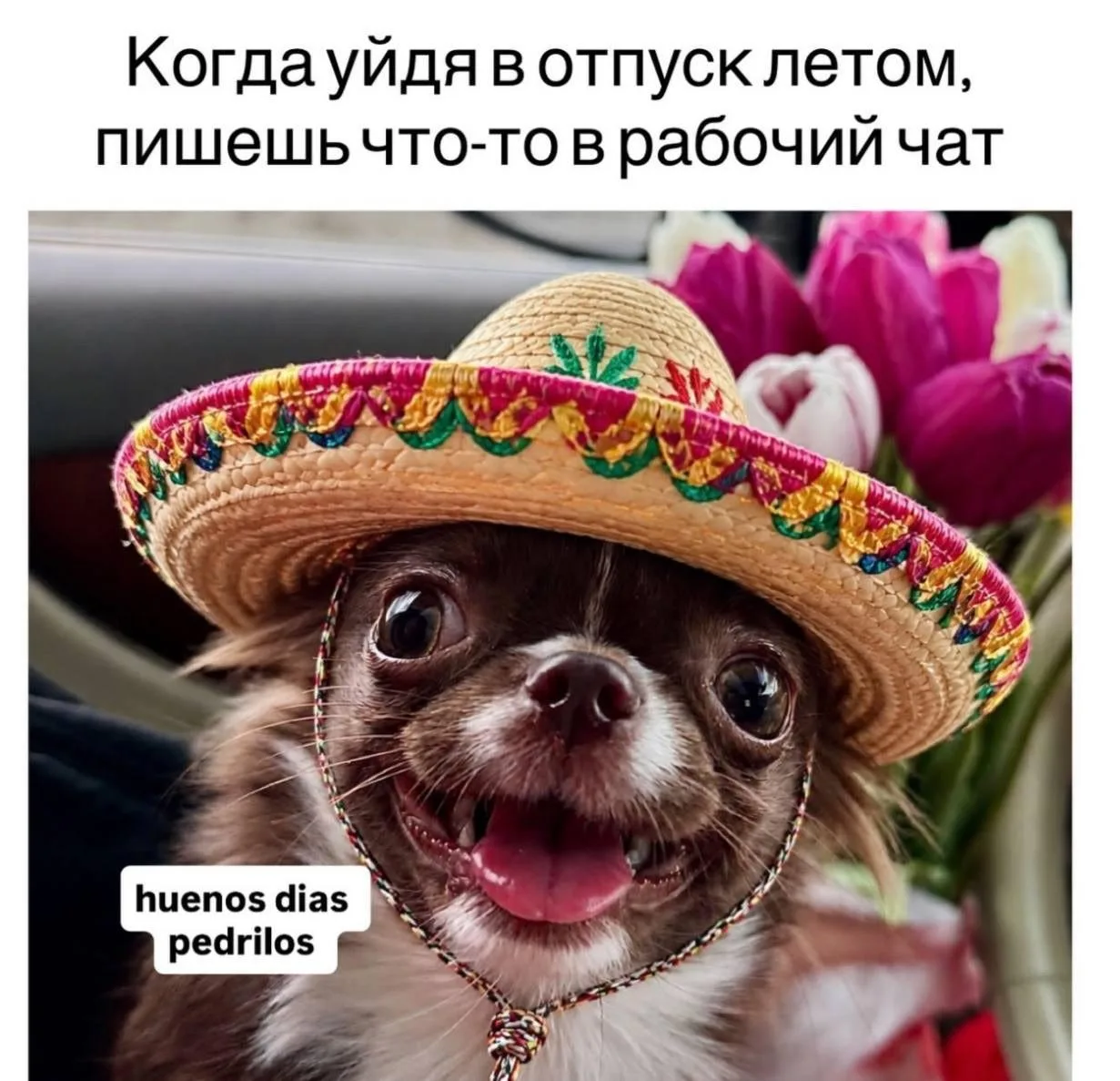 Это твой 😂 Злой юмор. Подключайся!