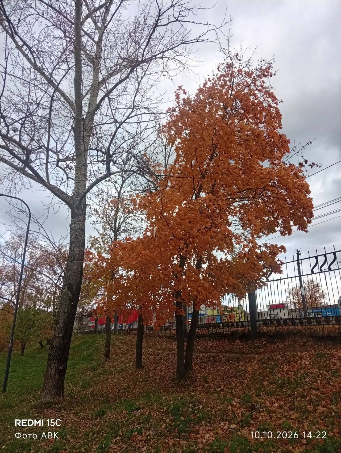 Золотая осень в родном городе и в родном районе.