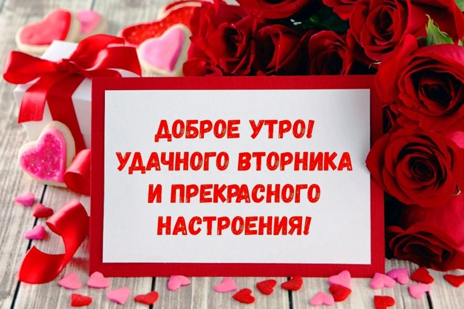 max.ru/rzn_city