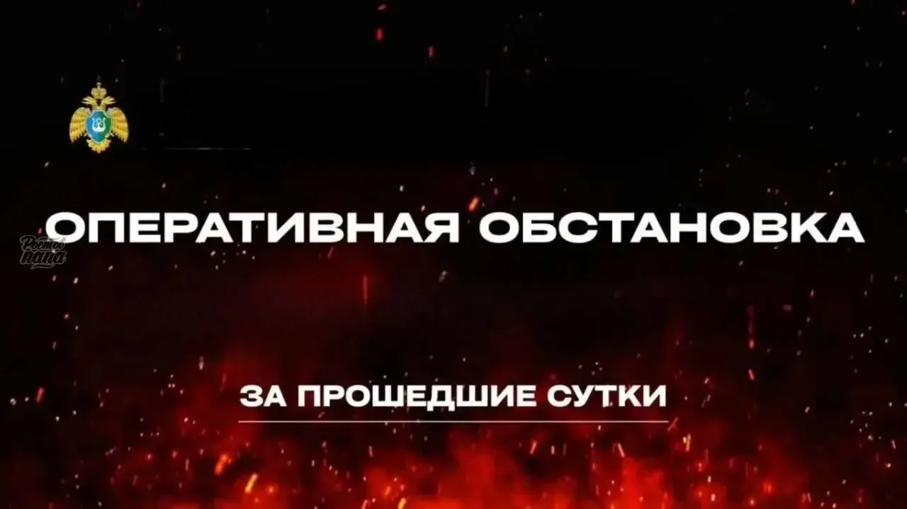 Минувшей ночью в ходе отражения воздушной атаки на Ростовскую область БПЛА уничтожены в...