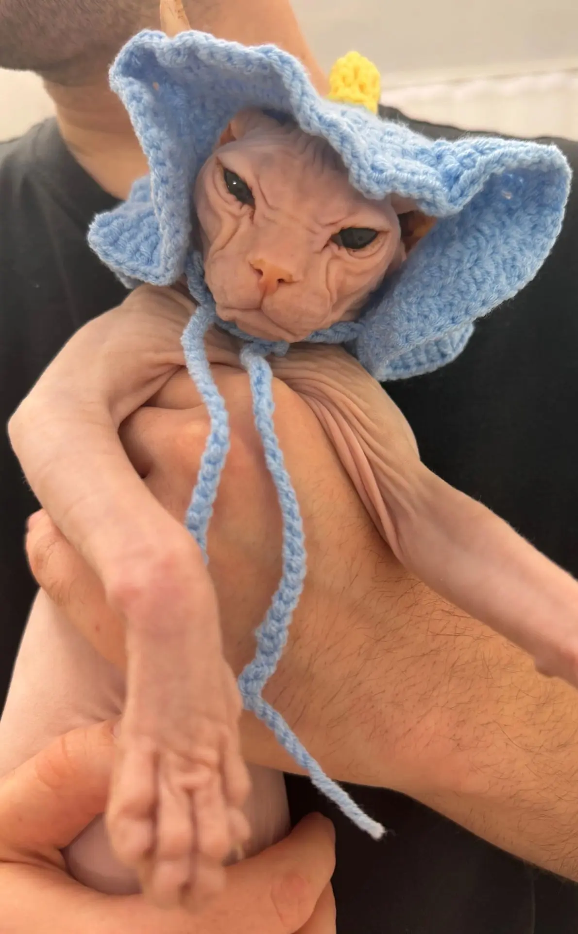 Страшно красивая принцесса Джуэль шлет всем привет! 🪐👑💙🐾