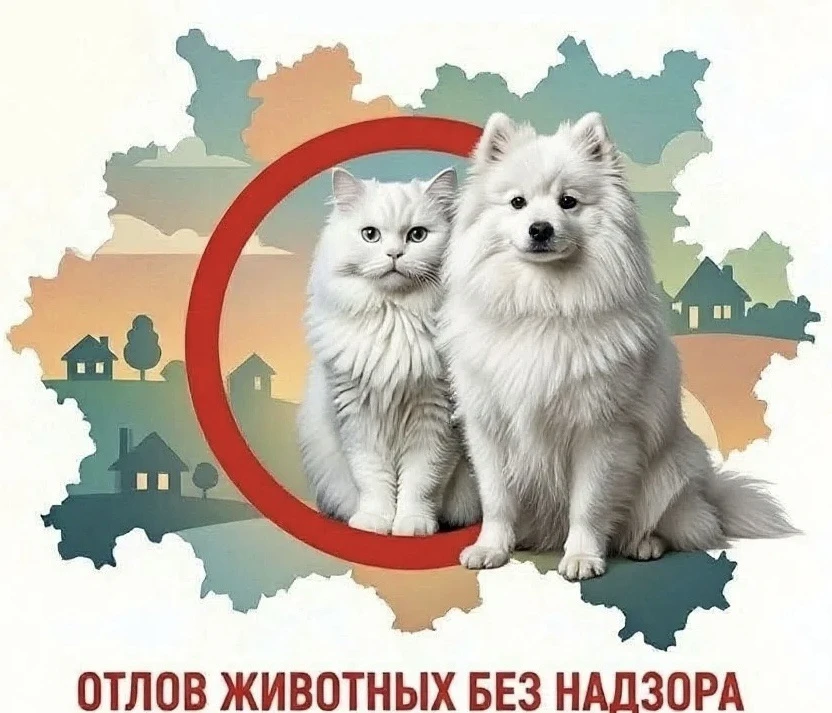 15 октября 2026 года на территории Киришского муниципального района специалистами ООО «...