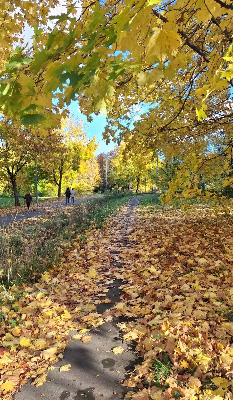 Уют осенних прогулок 🍂