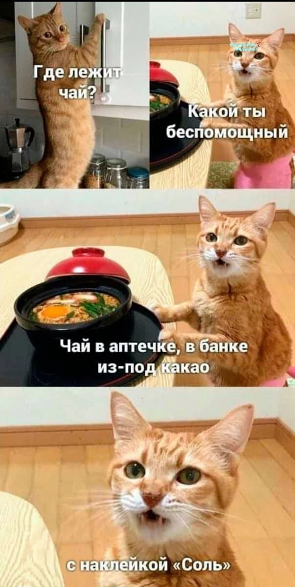 Ну никуда без нас🤣