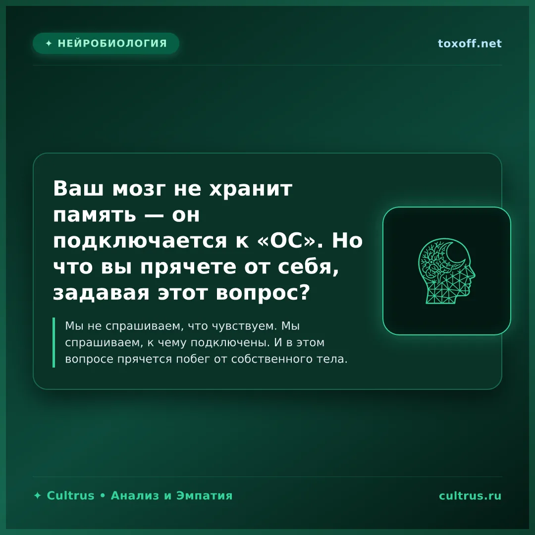Мозг как антенна: почему метафизика спасает от диафрагмы