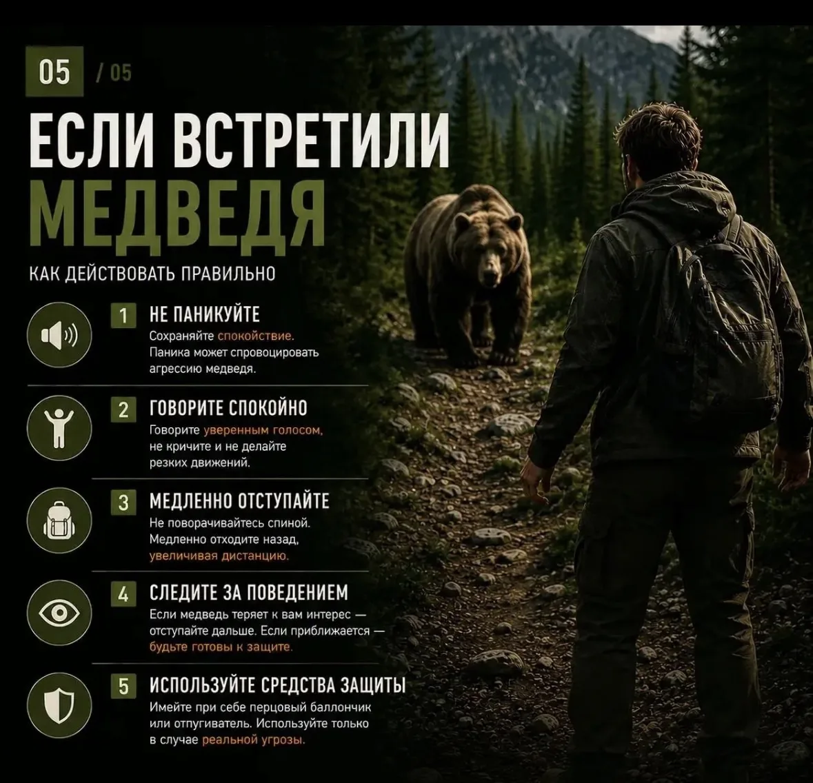 Встретили медведя в лесу? Сохраняйте спокойствие! Главные правила выживания