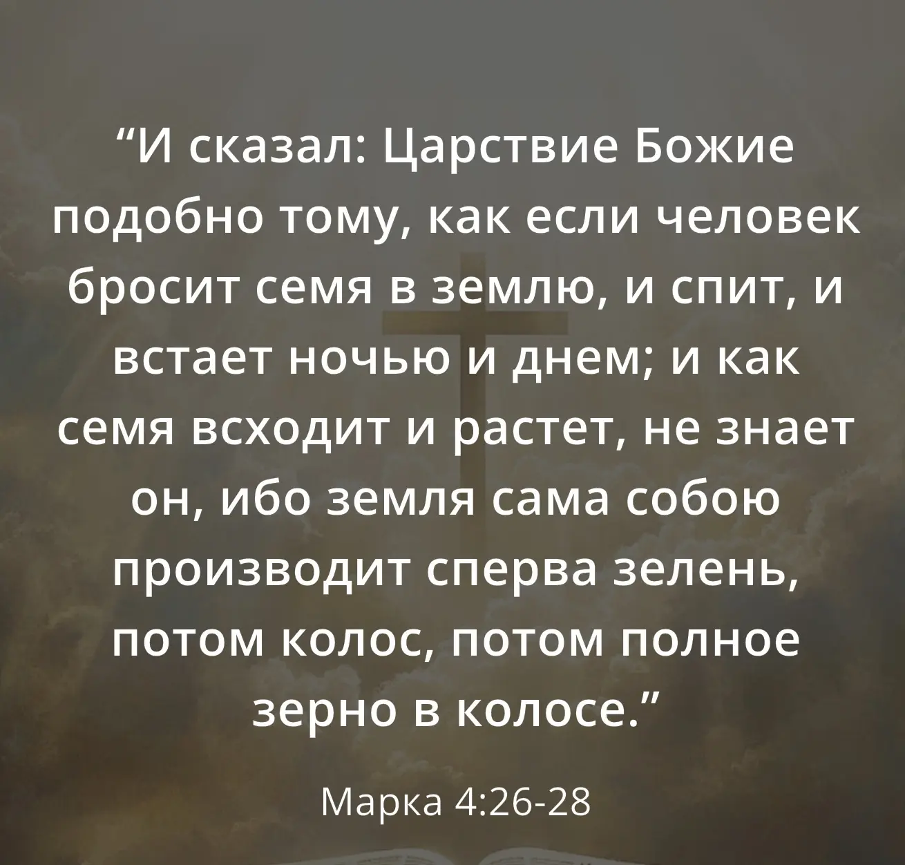 Земледелец в этой притче делает удивительно мало: бросает семя, спит и встаёт. Рост про...