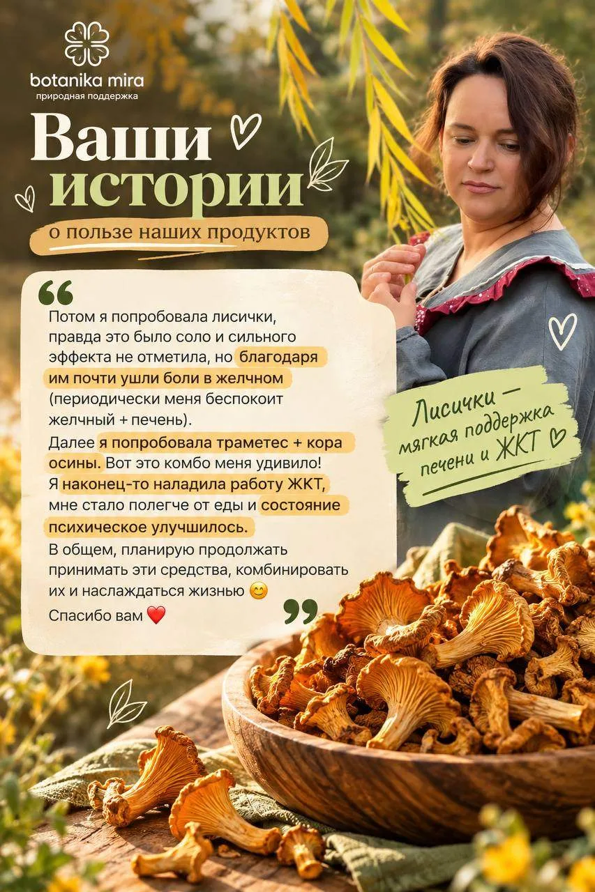 «Пропила лисичку и почти ушли боли в желчном»