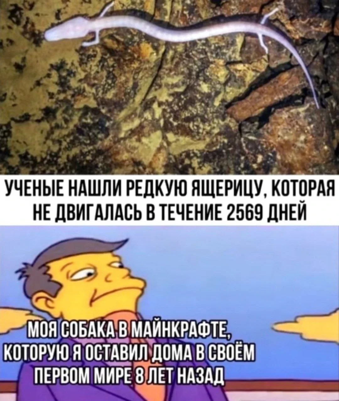🤣 Жиза или всё-таки больно вспоминать?