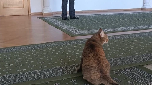 В нижегородском Заксобрании нашли сотрудницу, которой разрешено лежать
