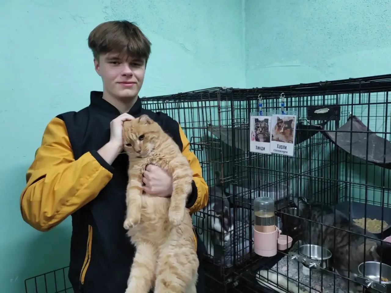 🐾 Ко Дню защиты животных в нашей школе прошла ежегодная акция «Поможем братьям нашим м...