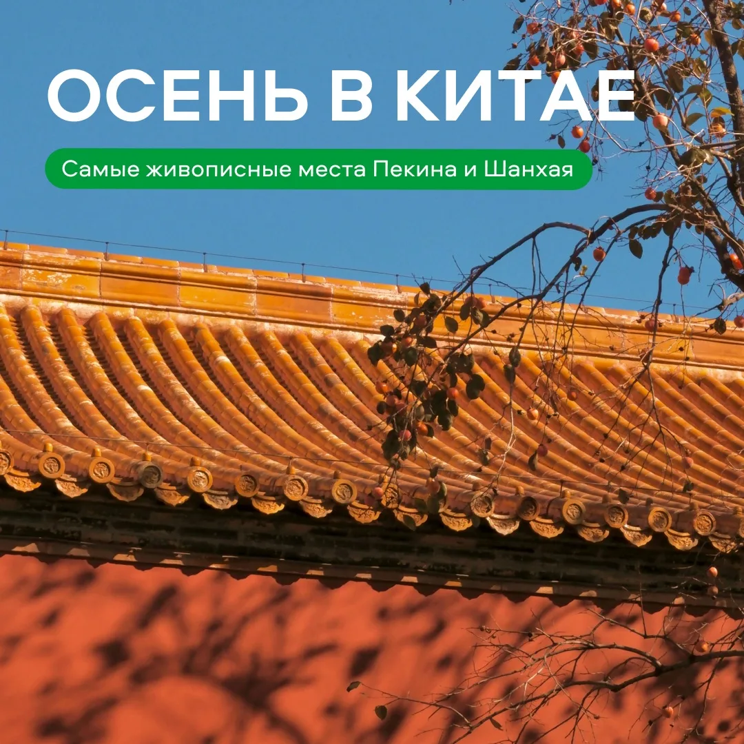 Осень — одно из самых красивых времён года для путешествия по Китаю🇨🇳