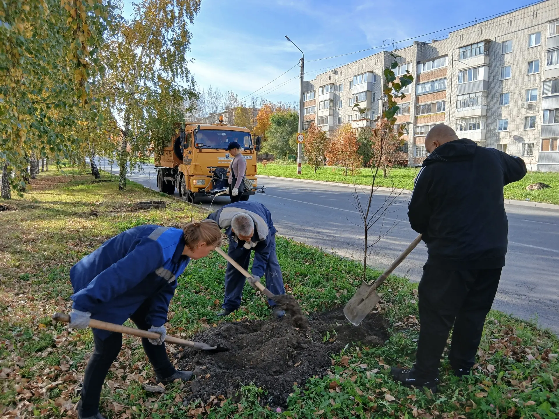 🌳 За две недели ульяновские озеленители высадили 99 новых саженцев в Железнодорожном р...