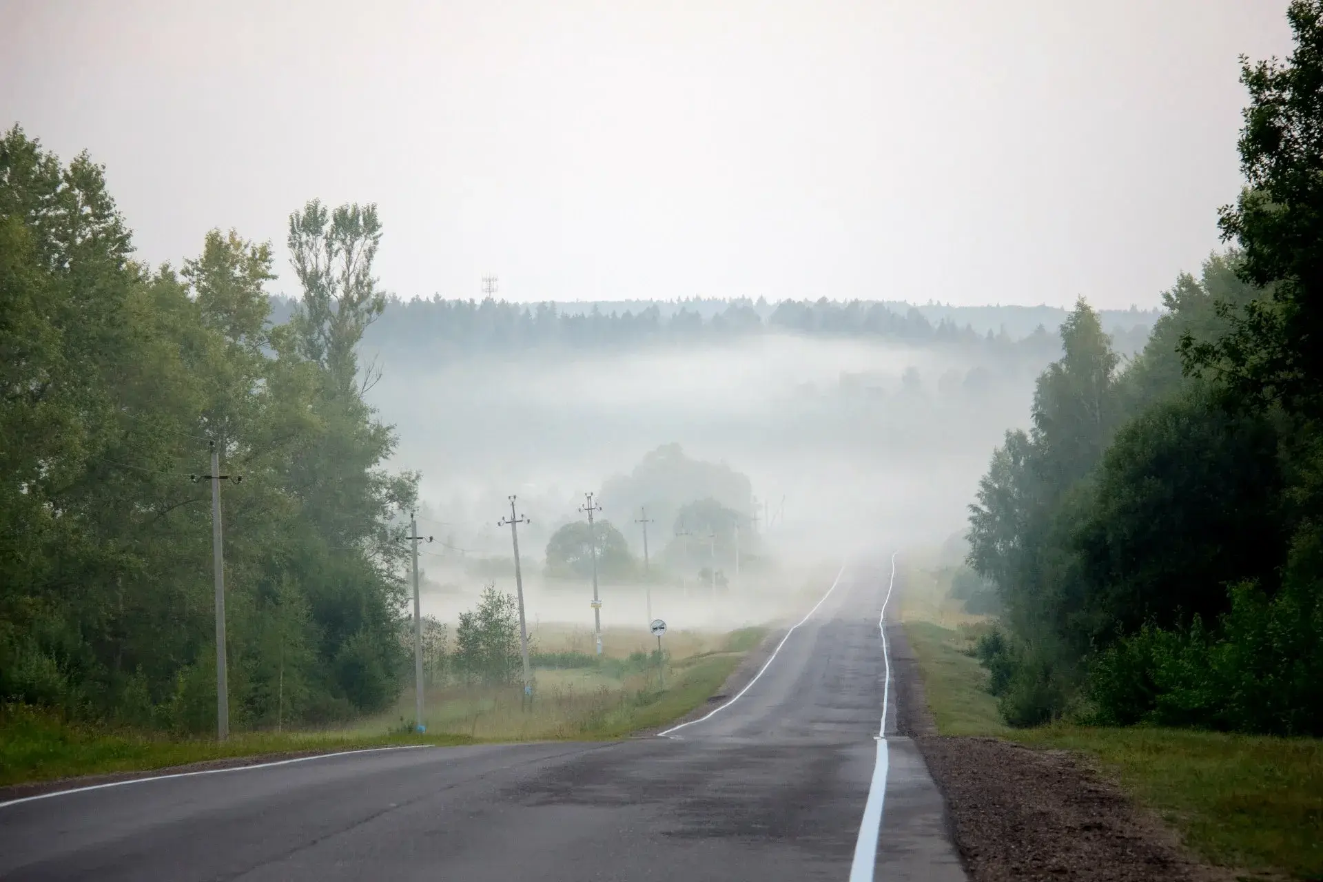 🌫️ МЧС предупреждает: туман в Тверской области