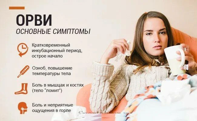 Откуда берется простуда и что с ней делать?😷