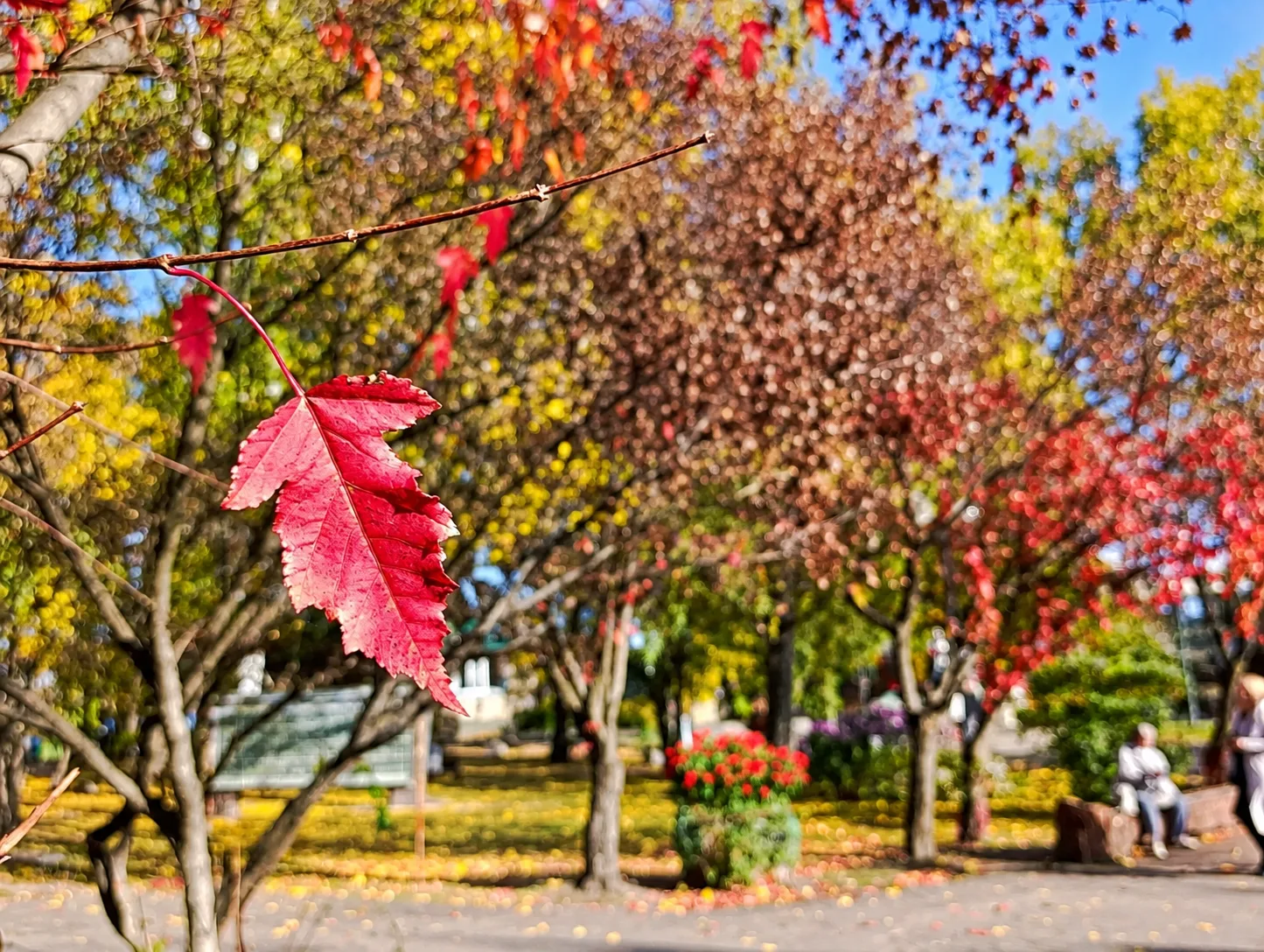 А осенью так тихо… уютно… волшебно… 🍂