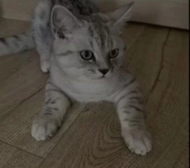 #Тольятти