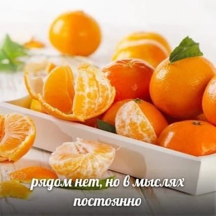 Подготовка к Новому Году официально началась... 🎄