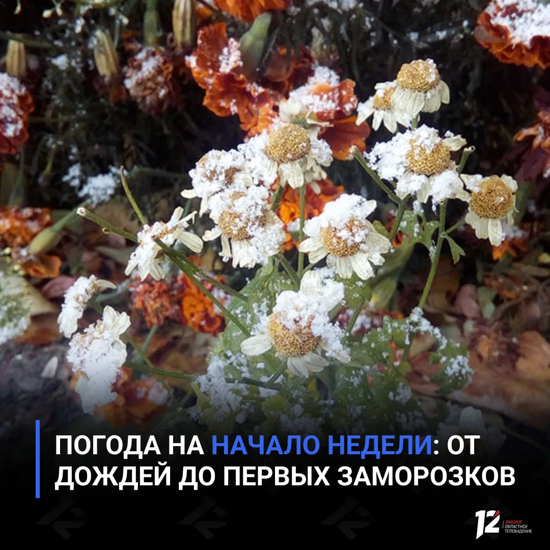 🌦 Погода на начало недели: от дождей до первых заморозков