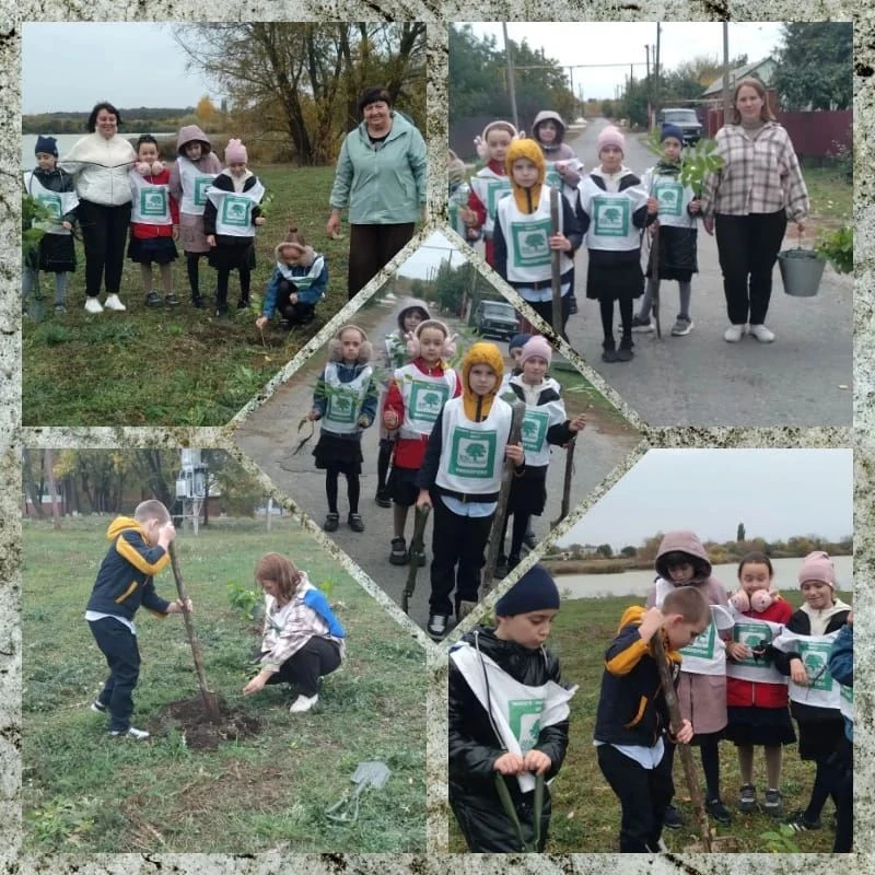 🌳 Давайте, ребята, везде, где живём, деревья посадим, сады разведём!