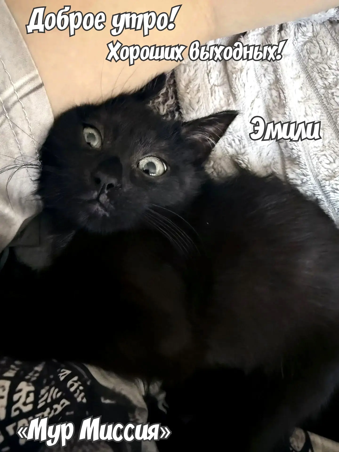 Доброе утро, друзья! 😉