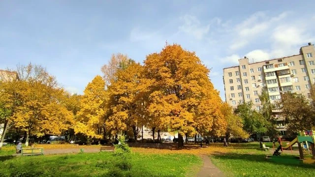 Доброе утро, Подольск!