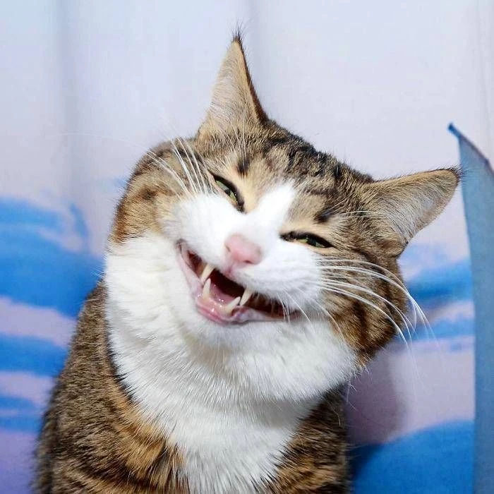 🤪 Всемирный день психического здоровья отмечается сегодня.
