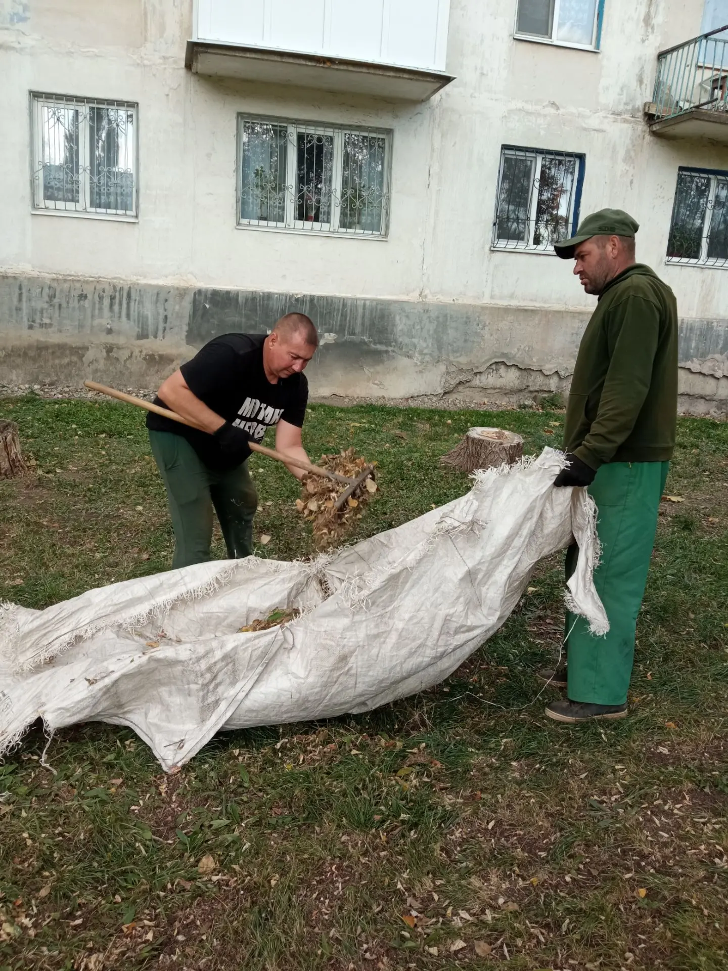 Чистка газонов и подметание дорожек от листвы скв.Свободы