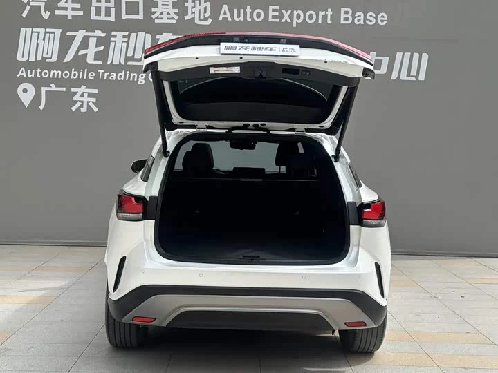 LEXUS RX300, 2025 год