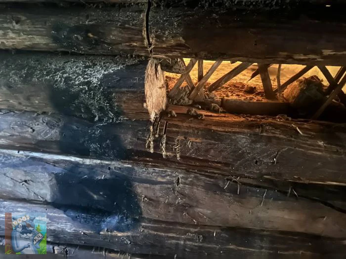 В Клинцовском районе ранним утром загорелся жилой дом