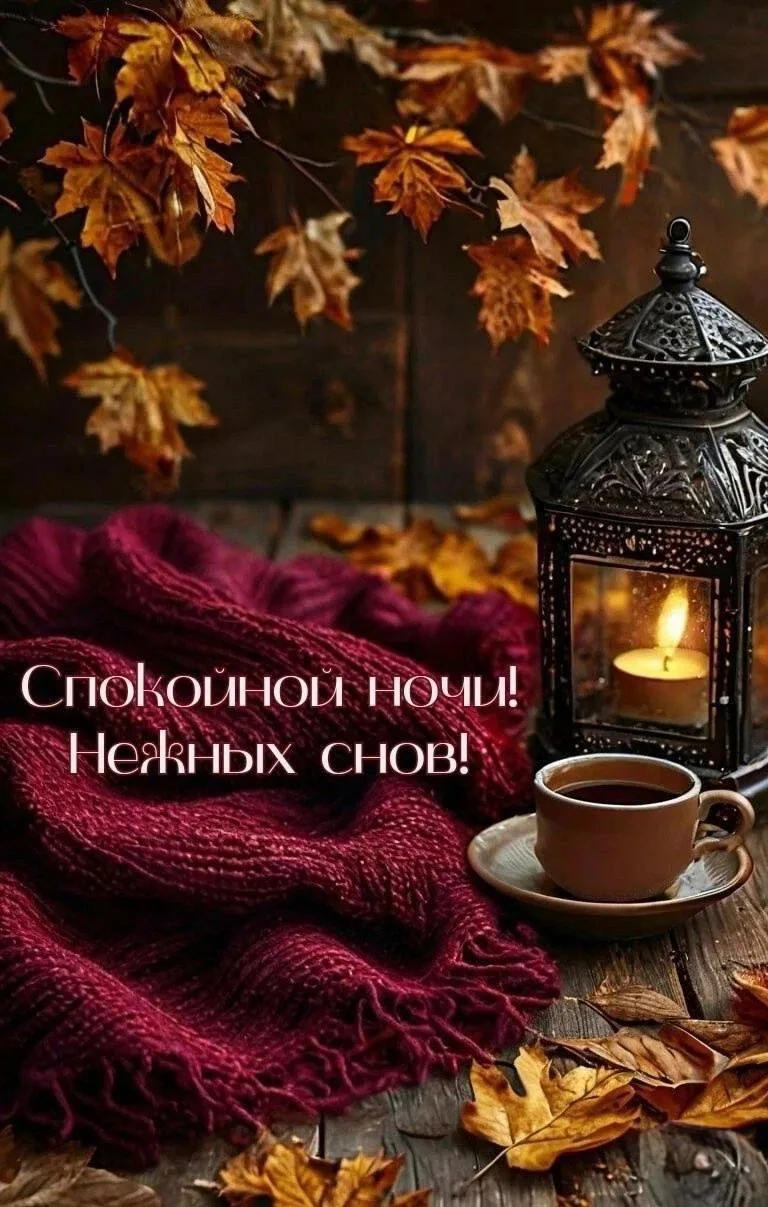 #СпокойнойНочи