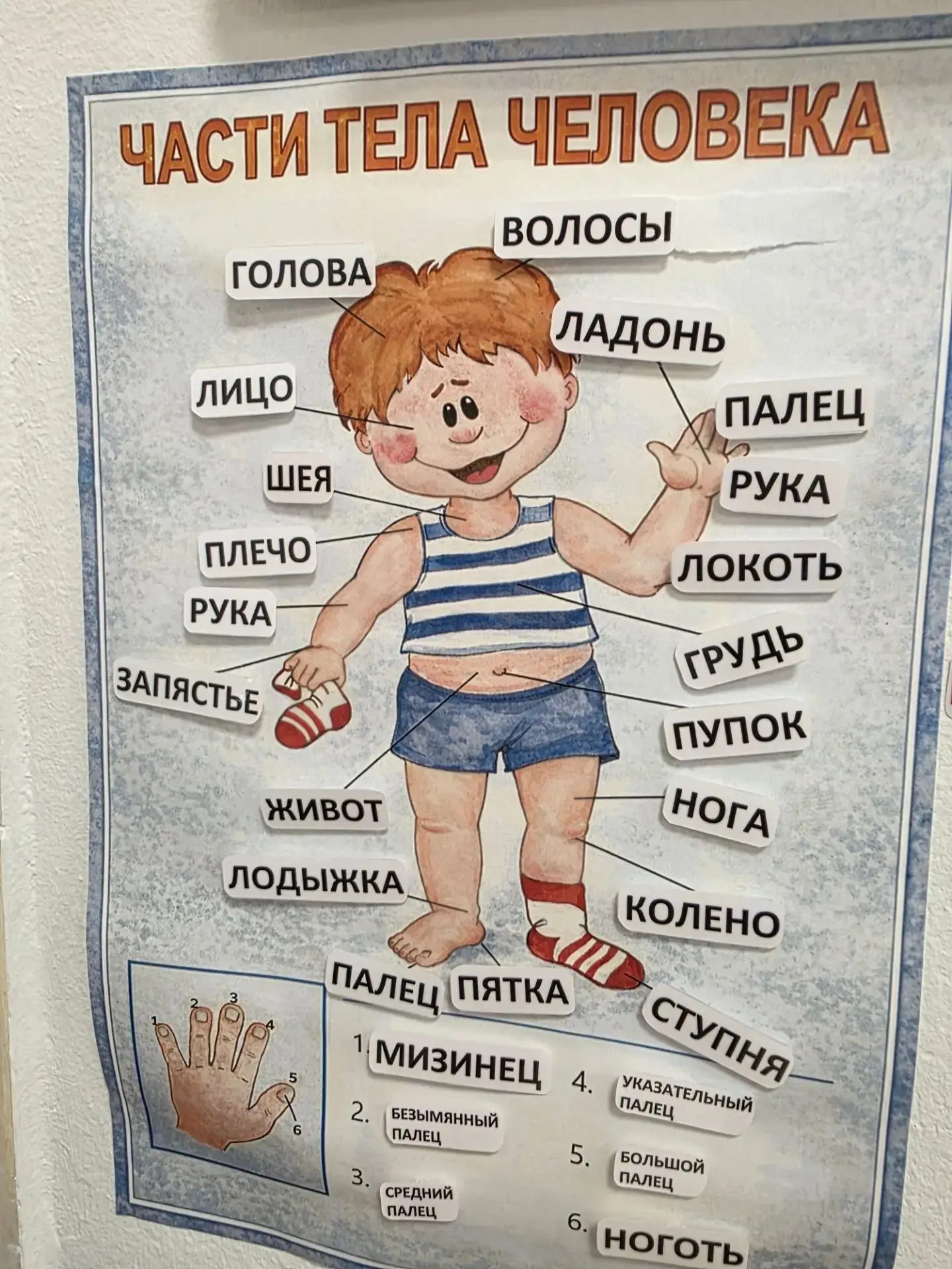 Дети с РАС: учимся понимать своё тело 💙
