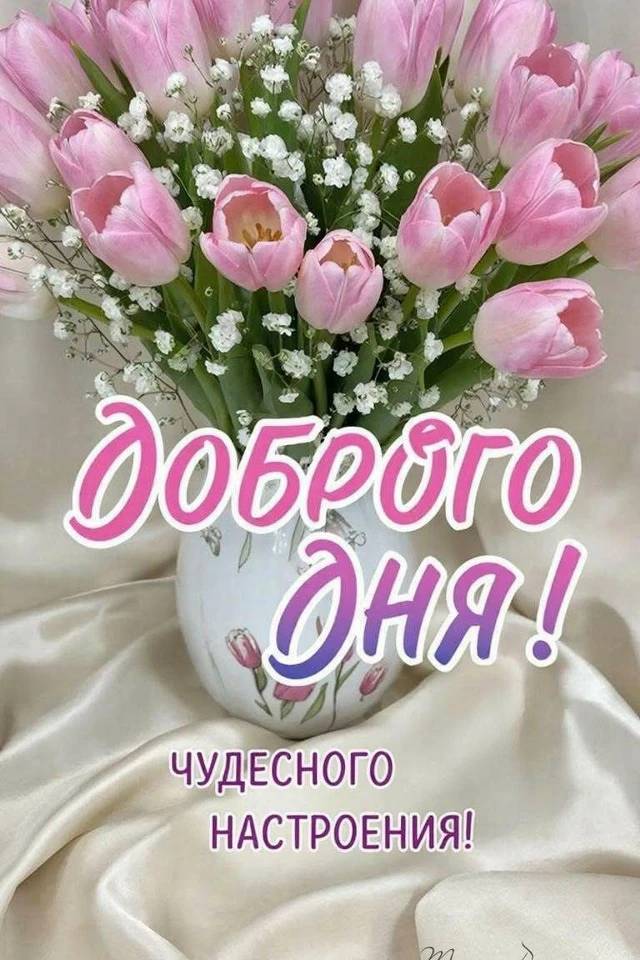 Открытки дня❤️