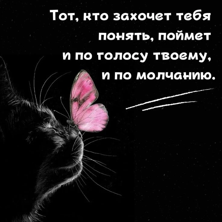 Тот, кто захочет тебя понять, поймет и по голосу твоему, и по молчанию. ✨