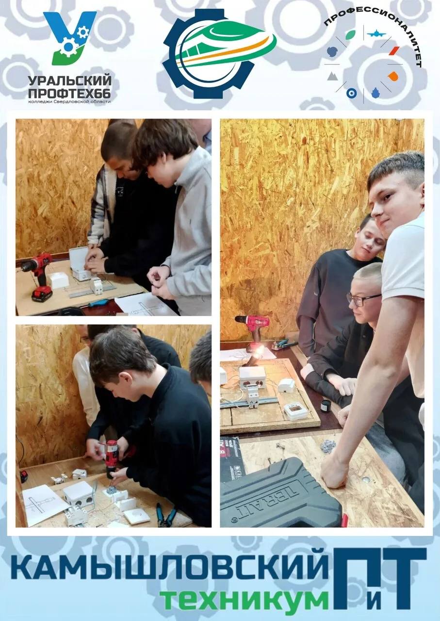 🔌 Профессиональная проба