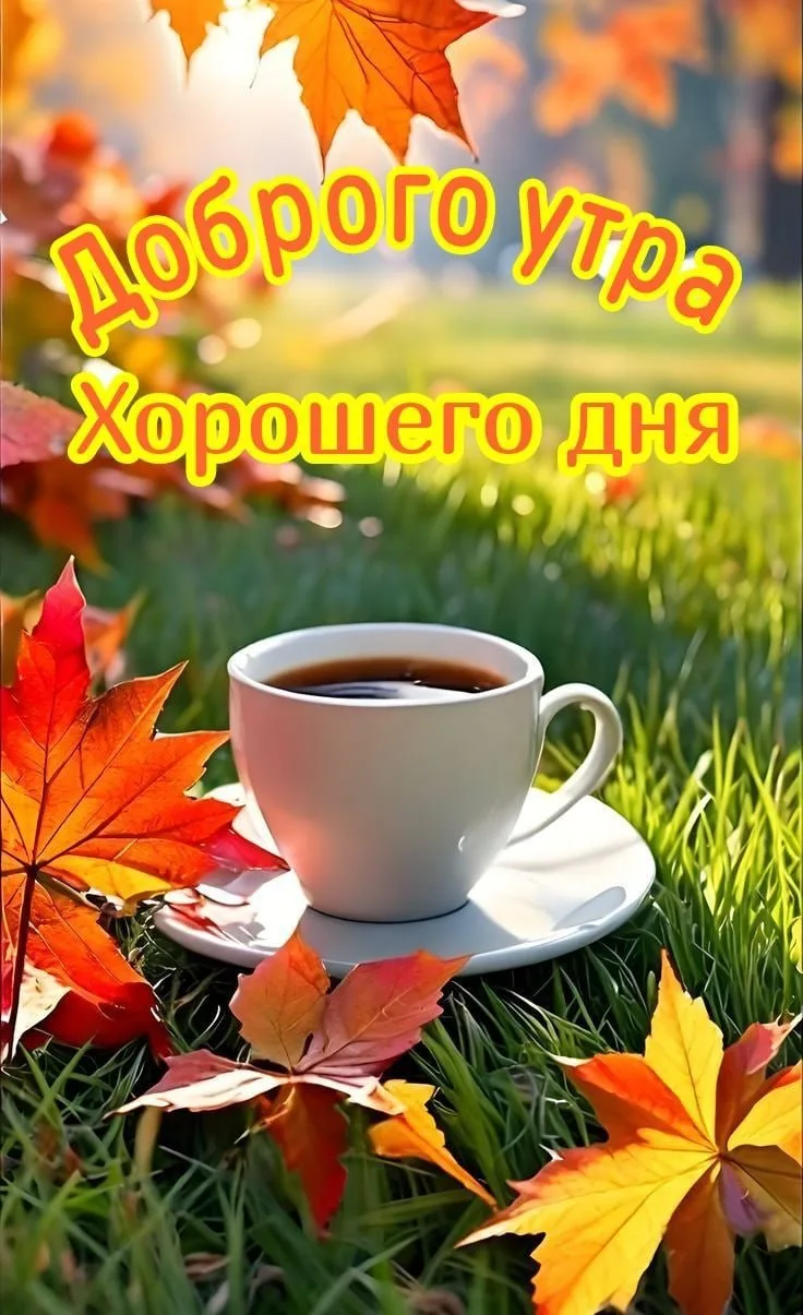 ‼️БУДЬ В КУРСЕ-@tekstilshik_inf