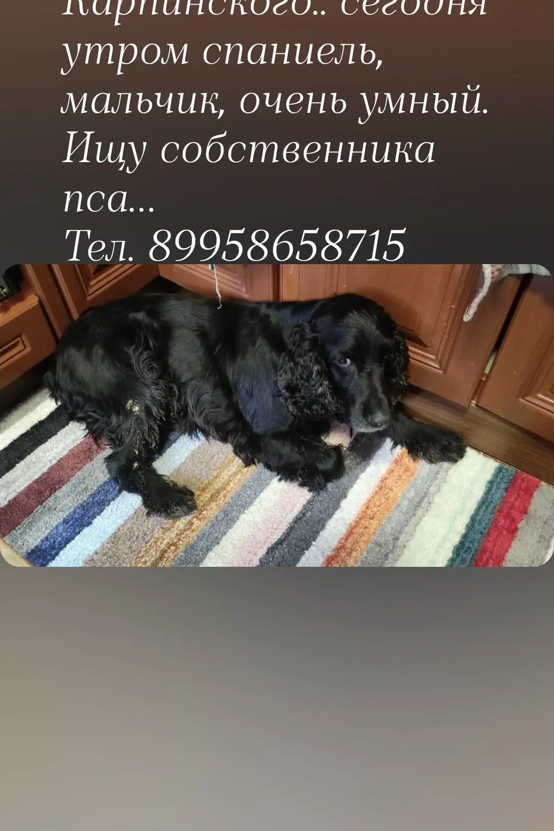 https://vk.ru/id661397452