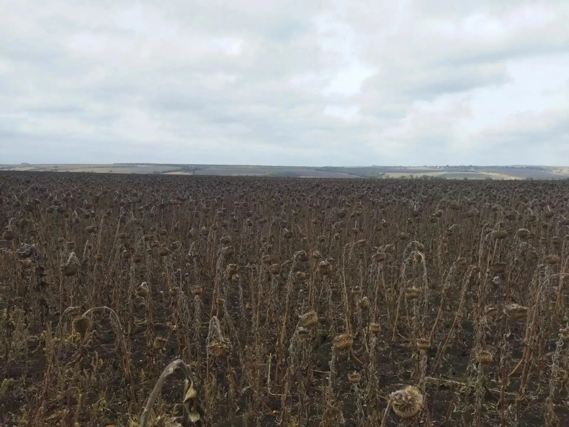 🚜В Краснодонском округе продолжается работа по возвращению в сельскохозяйственный обор...
