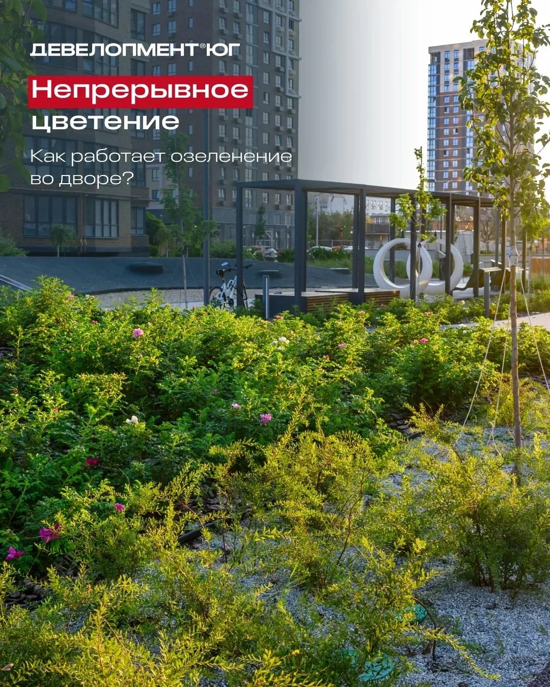 Как работает концепция непрерывного цветения? 🌿