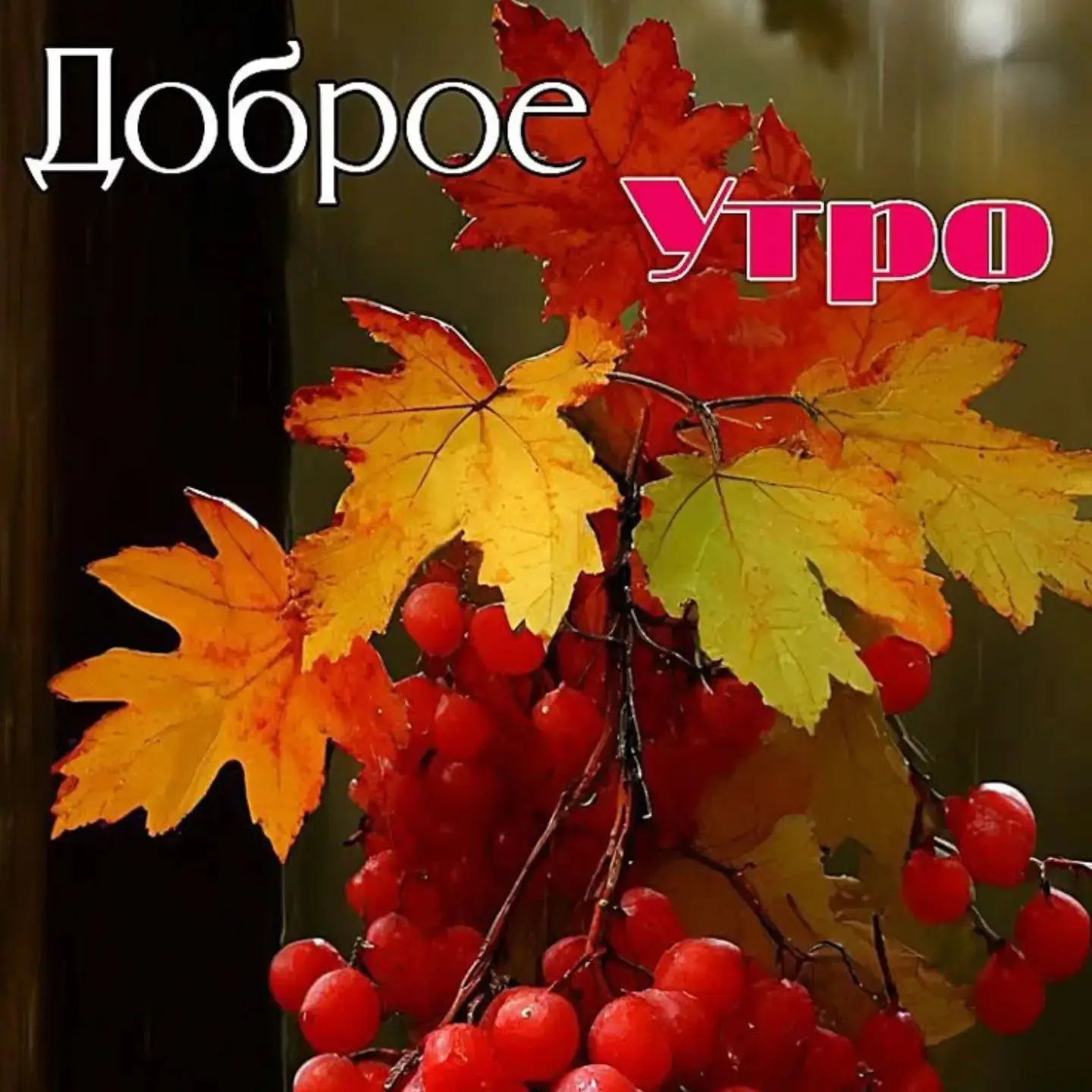 Доброе утро!
