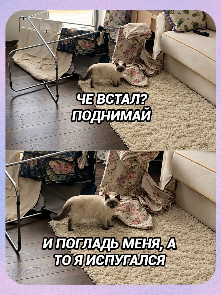 Разбойник!