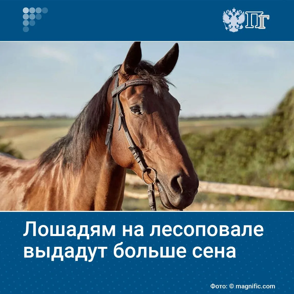 В Федеральной службе исполнения наказаний подписан новый приказ о нормах обеспечения ко...
