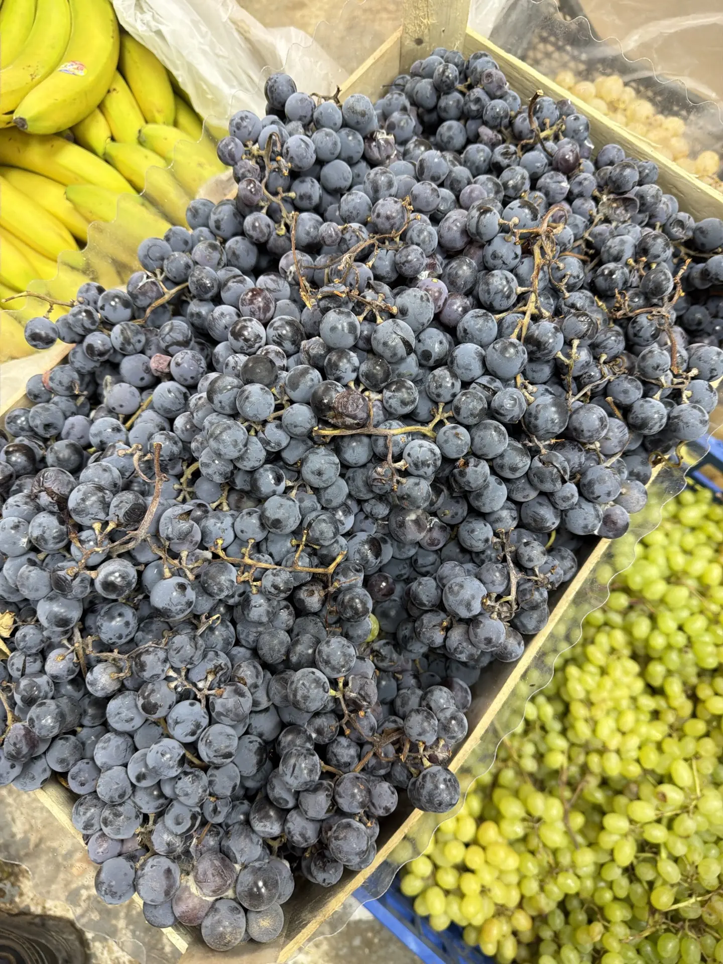 Изабелла распродажа
