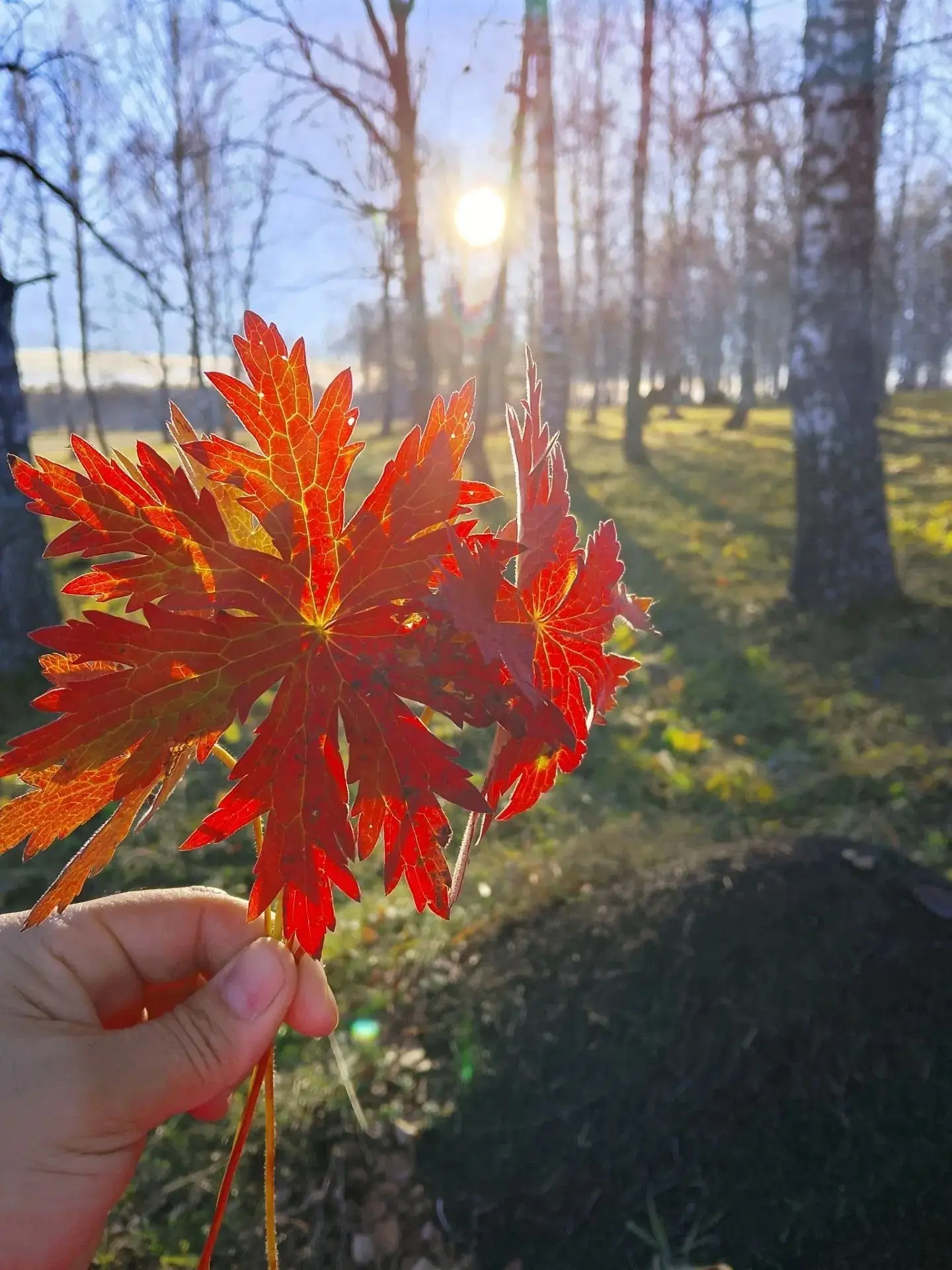 🍂Красота из Мурсалимкино!