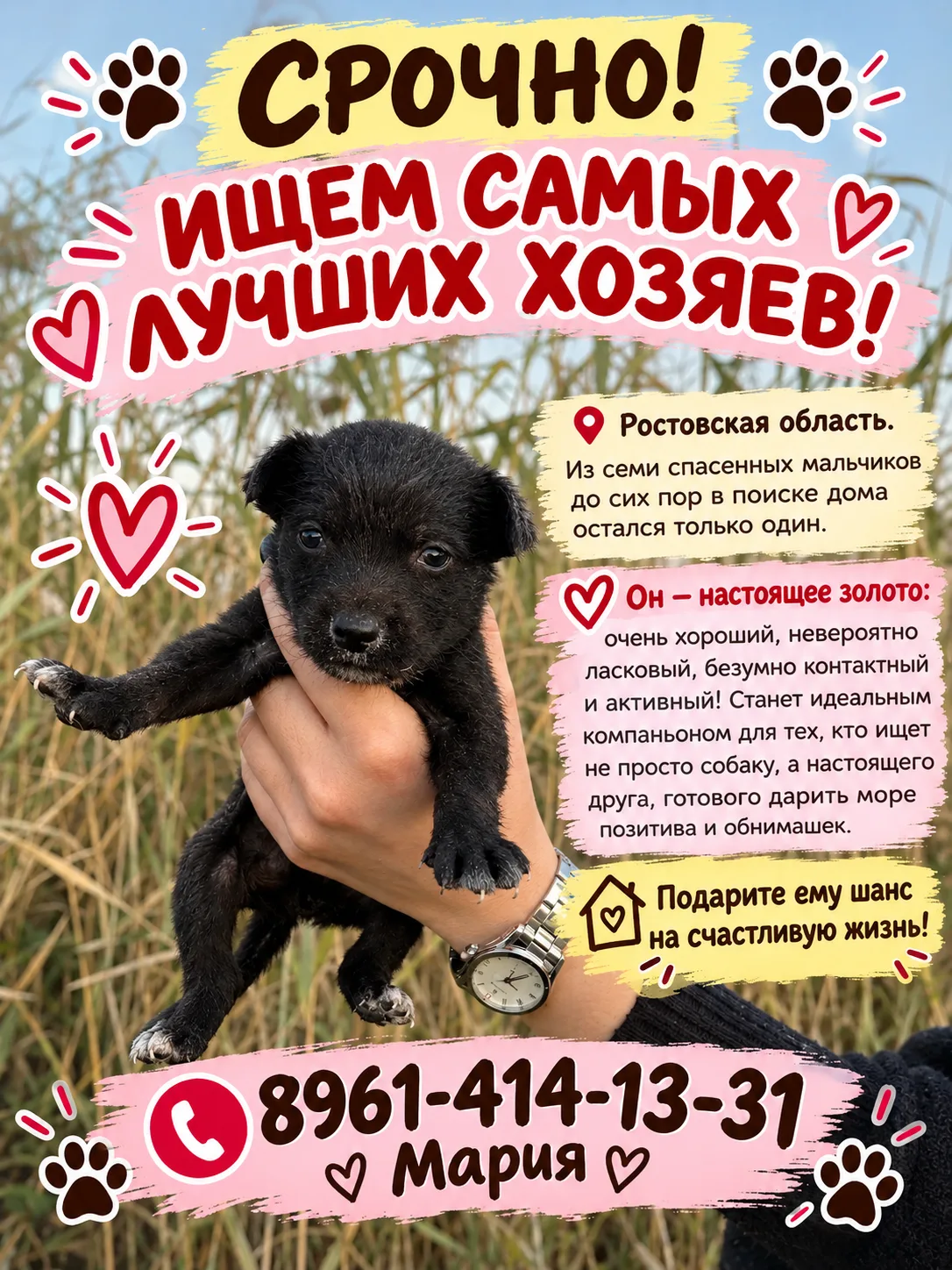 Ростовская область🏡